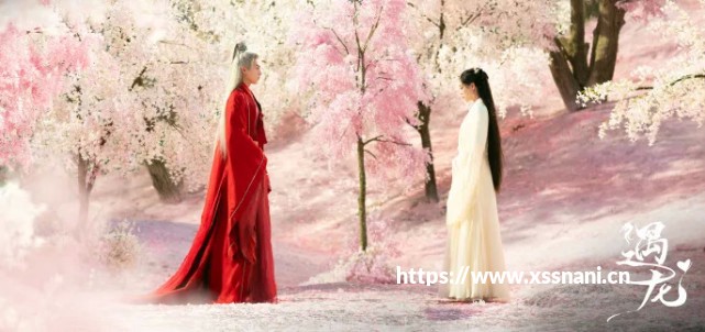 《巫师3》全昆特牌收集攻略 易漏卡片详细说明